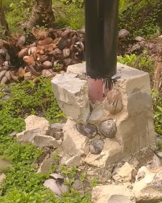 Heboh, Semen Pondasi Tiang Listrik Dicampur Batok Kelapa